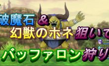 レアボスメダル300枚で見る 報酬のオーブ期待は ドラクエ10ブログ ウェイル ミーティアのアストルティアリサーチ